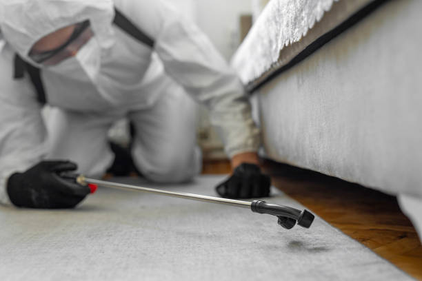 Professional Pest Control technician working in Harkers Island, NC