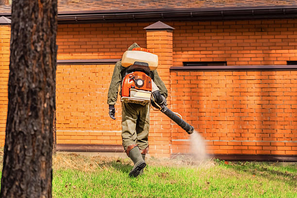 Trusted Cockroach Control service in Harkers Island, NC - Nex Pest Control